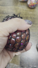 Load and play video in Gallery viewer, Glitter Black Mesh Squeeze Ball
